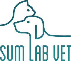 Logo SUM VET LAB 